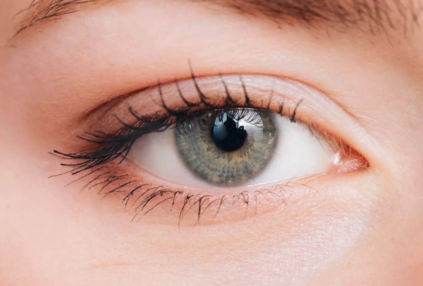¿Qué determina el color de los ojos?